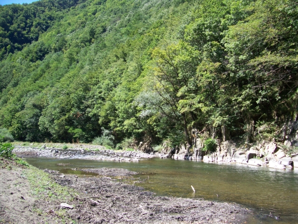  Image name: Fiume16.jpg 
 width: 601 pixel 
 height: 452 pixel 
 Size: 349996 bytes 
 Click to enlarge 